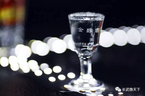 陕西金醇古酒业公司又推出新酒