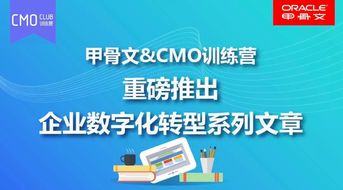传统酒类行业与营销自动化的反差 盟