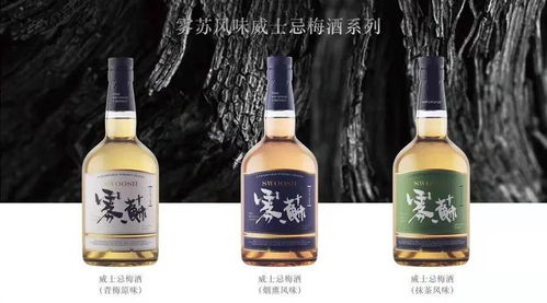 携两款新品瞄准春节档 九岸高升如何抵抗新酒饮品类 内卷